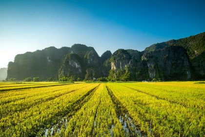 Best Time to Visit Vietnam - Good Seasons to Go