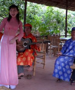 enjoy traditional music in mekong delta