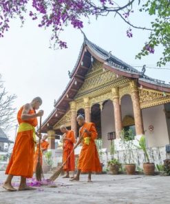 monks at luang prabang laos