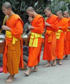 morning alms giving in laos