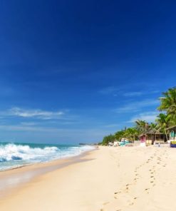 mui ne vietnam beach vacation packages