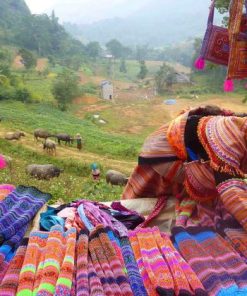 sapa colorful market