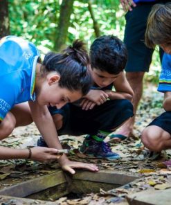 visit cu chi tunnels to let your kids know more about the Vietnam War