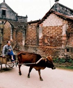 visit duong lam village in honeymoon package in vietnam